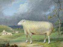 A Hunter in a Landscape, 1810-James Ward-Giclee Print