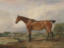 The Rocking Horse, C.1793-James Ward-Giclee Print