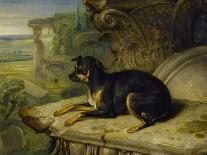Fanny, a Favourite Dog, 1822-James Ward-Giclee Print