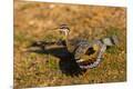 Premium Photographic Print