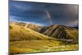 Photographic Print