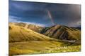 Photographic Print
