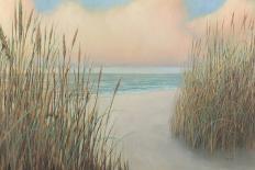 Serene Seaside-James Wiens-Art Print
