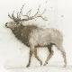 Premium Giclee Print