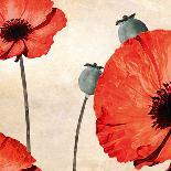 Poppy Dawn-James Worthington-Giclee Print