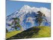 Photographic Print