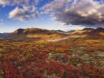 Lush hills in front of Mount Egmont-Jami Tarris-Premier Image Canvas