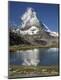 Photographic Print