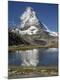 Photographic Print