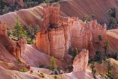Utah, Bryce Canyon National Park, Bryce Canyon and Hoodoos-Jamie And Judy Wild-Photographic Print
