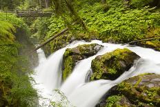Wa, Olympic National Park, Sol Duc Falls-Jamie And Judy Wild-Photographic Print