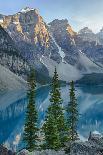 Scarlet Paintbrush and Larkspur, Olympic National Park, Washington, USA-Jamie & Judy Wild-Mounted Photographic Print