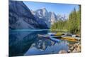 Photographic Print