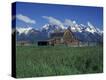 Stretched Canvas Print