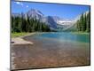 Photographic Print