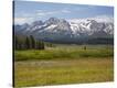 Stretched Canvas Print
