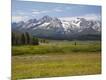 Photographic Print