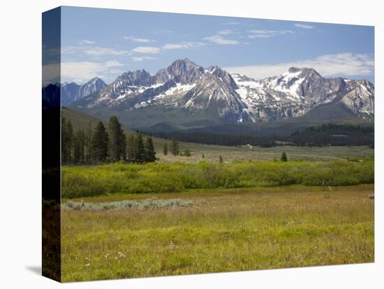 Stretched Canvas Print, , large