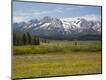 Photographic Print