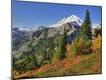 Photographic Print