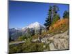 Photographic Print