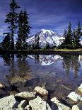 Mt. Hood Reflected in Trillium Lake, Oregon, USA-Jamie & Judy Wild-Photographic Print
