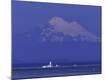 Premium Photographic Print