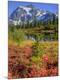Photographic Print