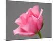 Premium Photographic Print