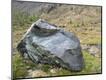 Photographic Print