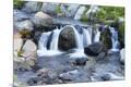 Premium Photographic Print