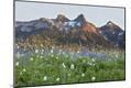 Premium Photographic Print