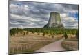 Premium Photographic Print