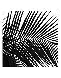 Palms 7-Jamie Kingham-Art Print