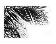 Palms 4 (detail)-Jamie Kingham-Art Print