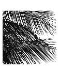 Palms, no. 5-Jamie Kingham-Giclee Print