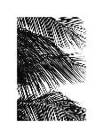 Palms, no. 5-Jamie Kingham-Giclee Print