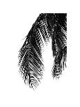 Palms 14 (detail)-Jamie Kingham-Art Print