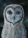 Barn Owl III-Jamin Still-Giclee Print