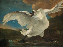 The Threatened Swan, before 1652-Jan Asselijn-Giclee Print
