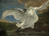 The Threatened Swan, c.1650-Jan Asselyn-Giclee Print