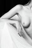 Nude Detail-Jan Blasko-Mounted Photographic Print