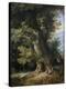 Stretched Canvas Print