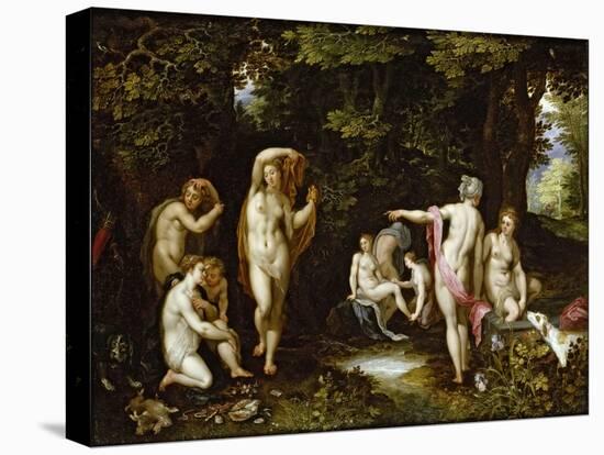 Stretched Canvas Print, , large