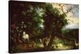 Stretched Canvas Print