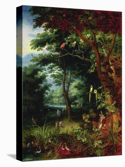 Stretched Canvas Print, , large