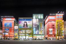 Colorful neon signs at the Kabukicho red light district, Shinjuku, Tokyo, Japan-Jan Christopher Becke-Photographic Print