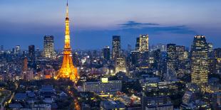 Tokyo skyline and Tokyo Tower at night, Minato, Tokyo, Japan-Jan Christopher Becke-Photographic Print