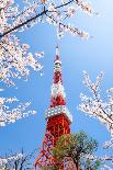 Akihabara electronic town, Tokyo, Japan-Jan Christopher Becke-Framed Photographic Print