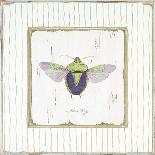 Stink Bug-Jan Cooley-Stretched Canvas